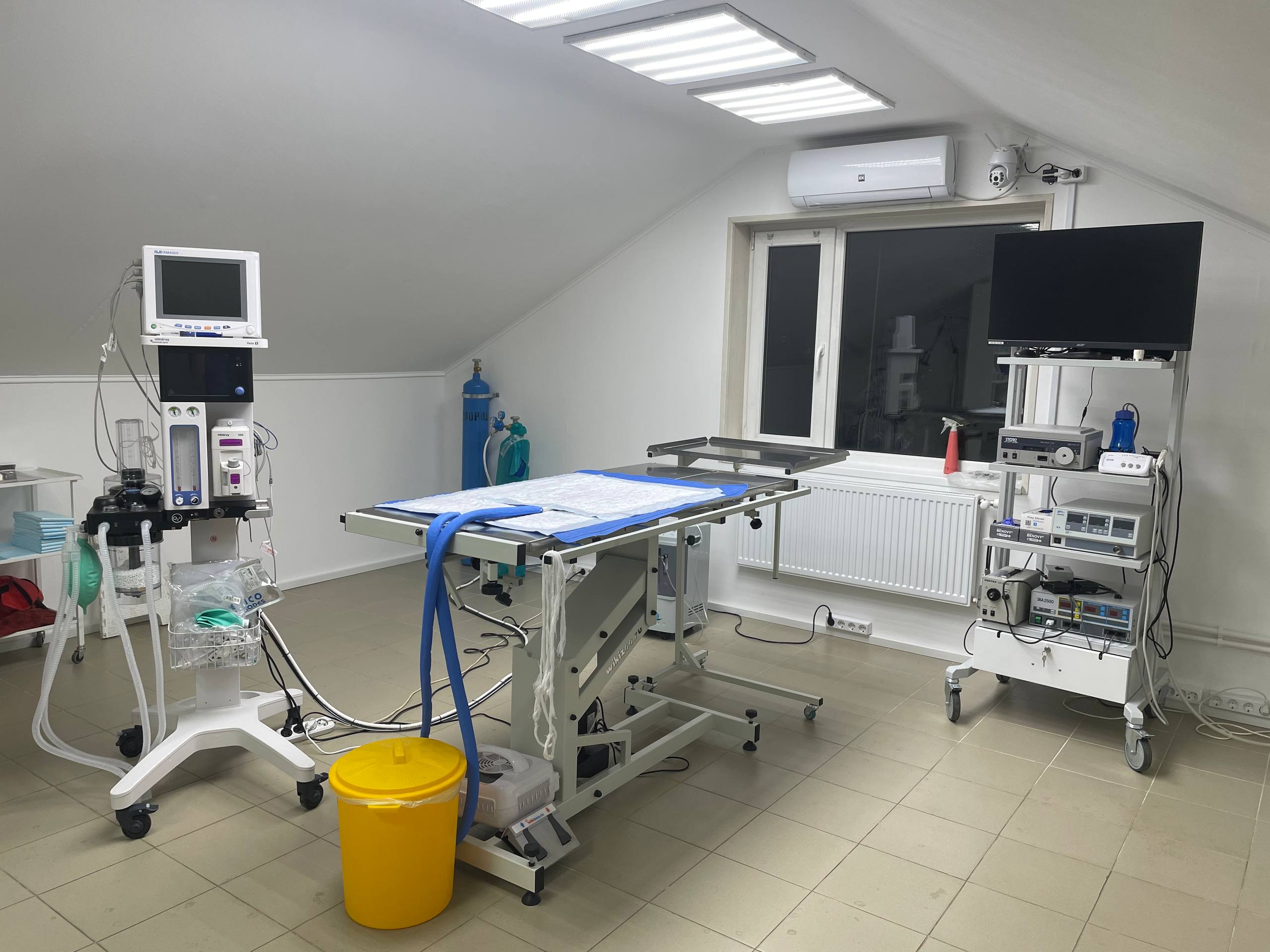 Мы растём ради ваших питомцев